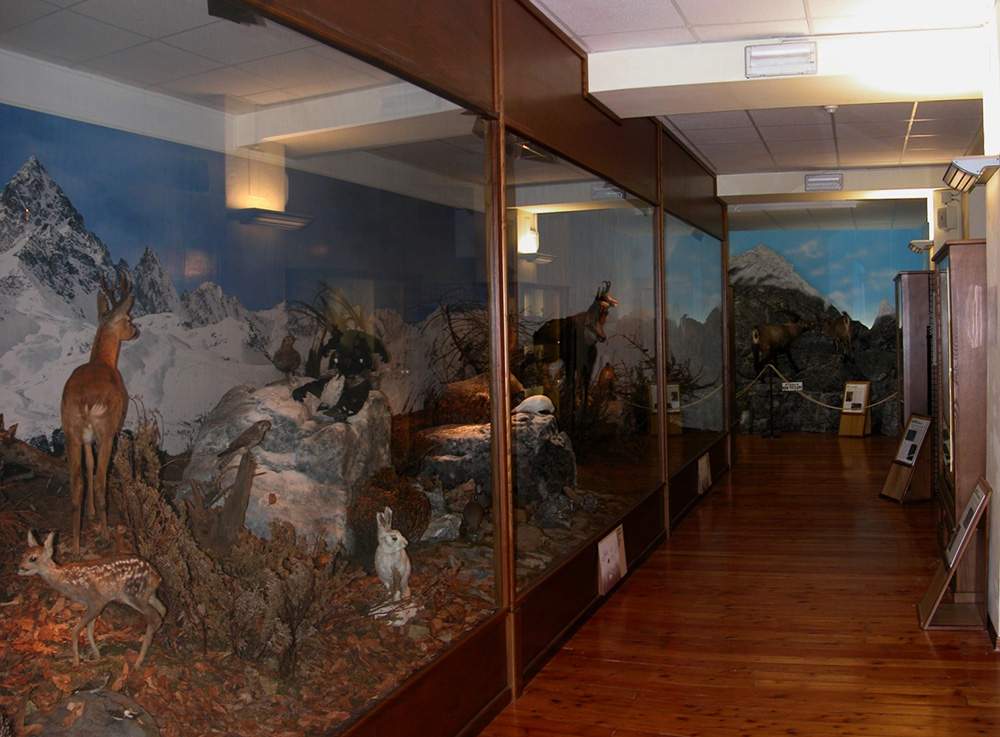 Museo Revello