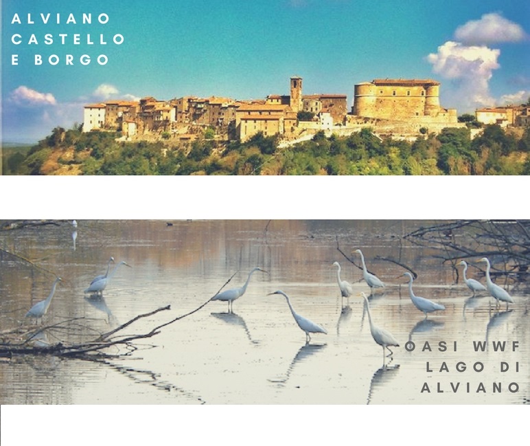 castello e borgoalviano(3)