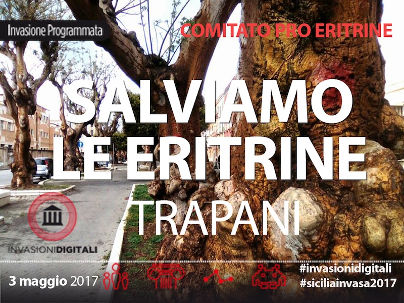 eritrineinvasione17